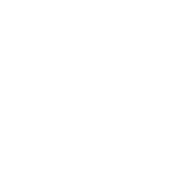 social marketing